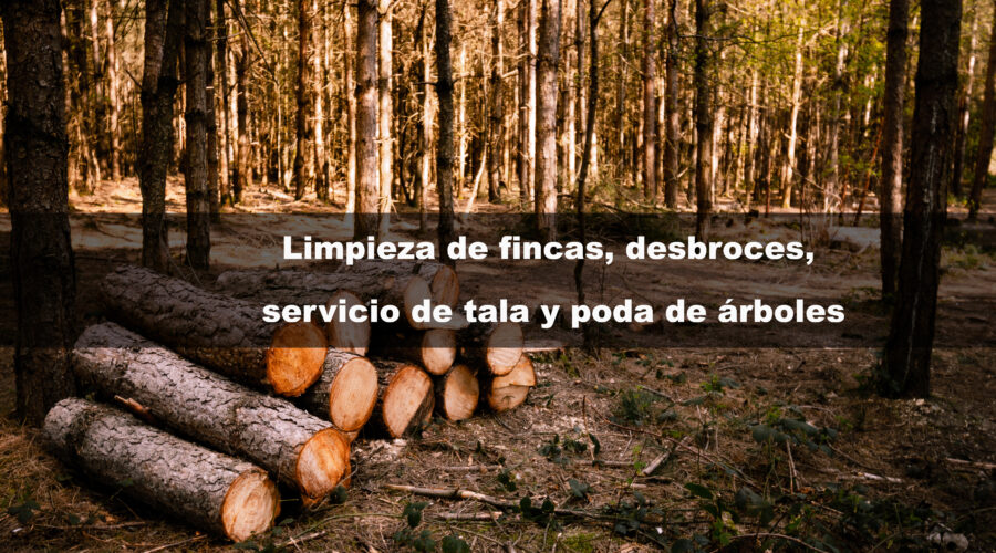 Umbrella with chair in hotel  swimming pool resort