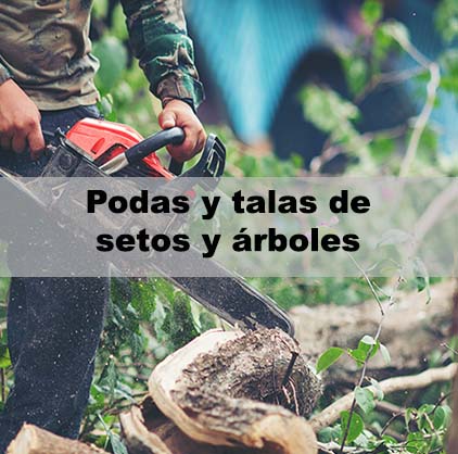 En Estusol contamos con especialistas en talas controladas y trabajos verticales en jardinería y espacios forestales